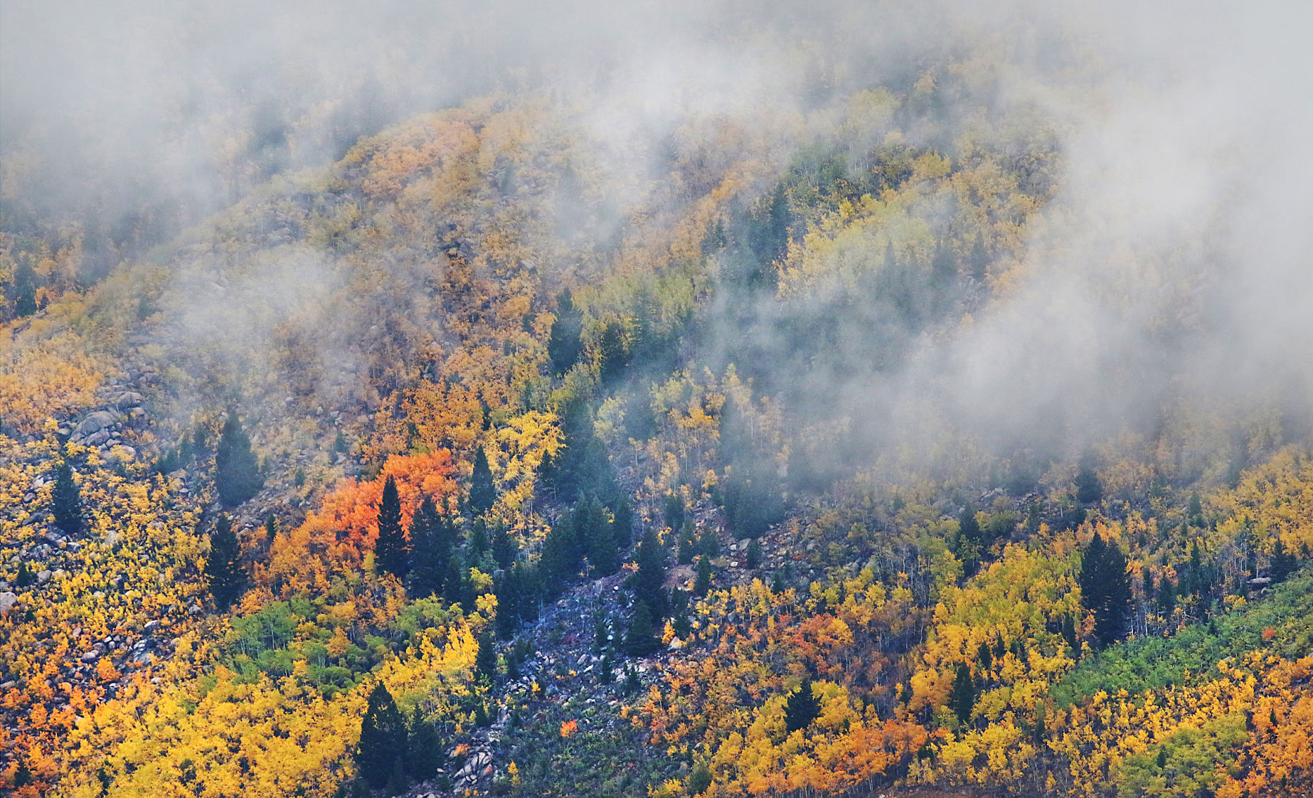Shrouded in Clouds